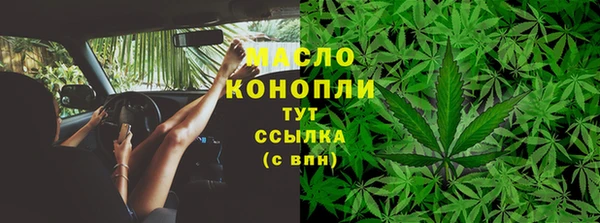 PSILOCYBIN Бородино